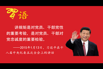 习近平：领导干部违纪往往是从破坏规矩开始的