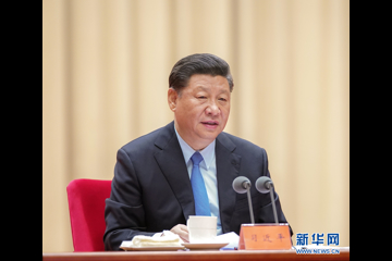 习近平：守初心担使命找差距抓落实确保主题教育取得扎扎实实的成效
