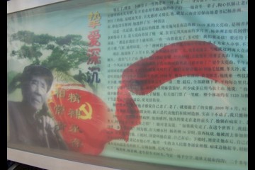 工程党支部向杨善洲同志学习