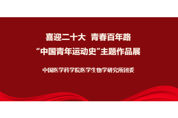 喜迎二十大 青春百年路“中国青年运动史”主题作品展
