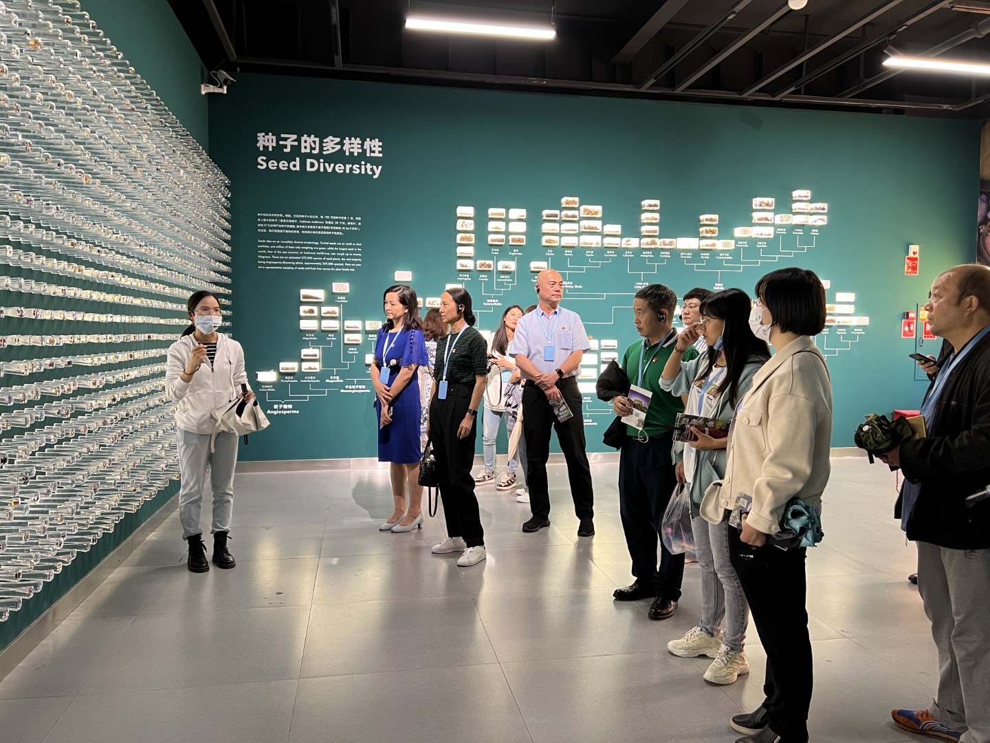 ca45a4abb59448758654cd526fa719c6.jpg